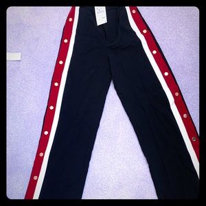 NWTO a awesome high waisted wide leg Zara Pants